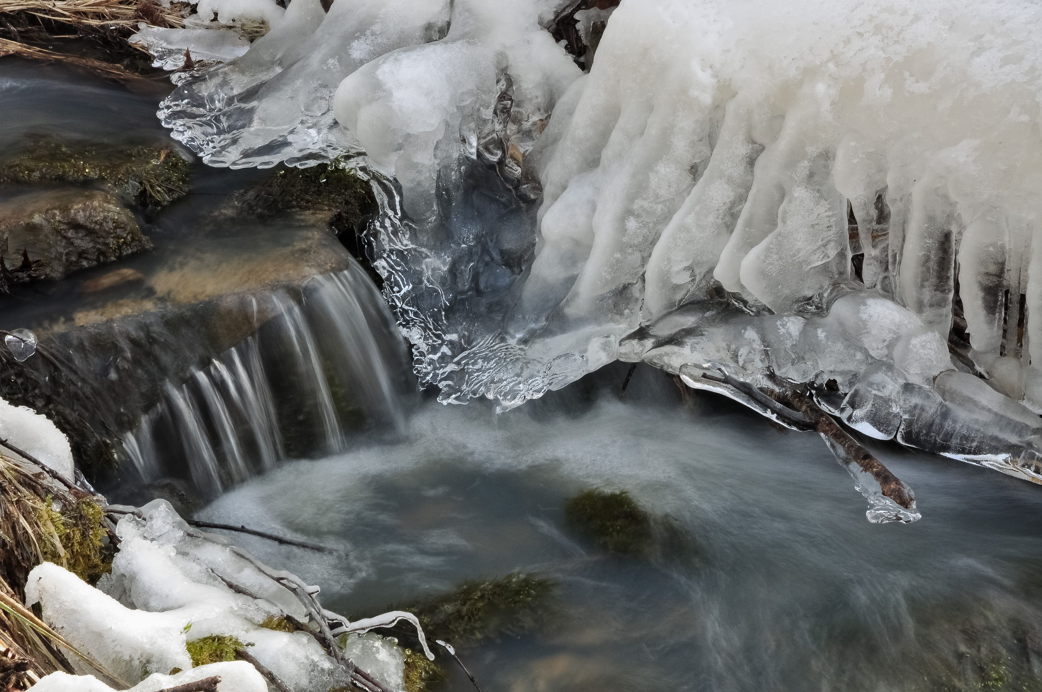 Дно этого ручья было ледяное и от лесной темной воды схема