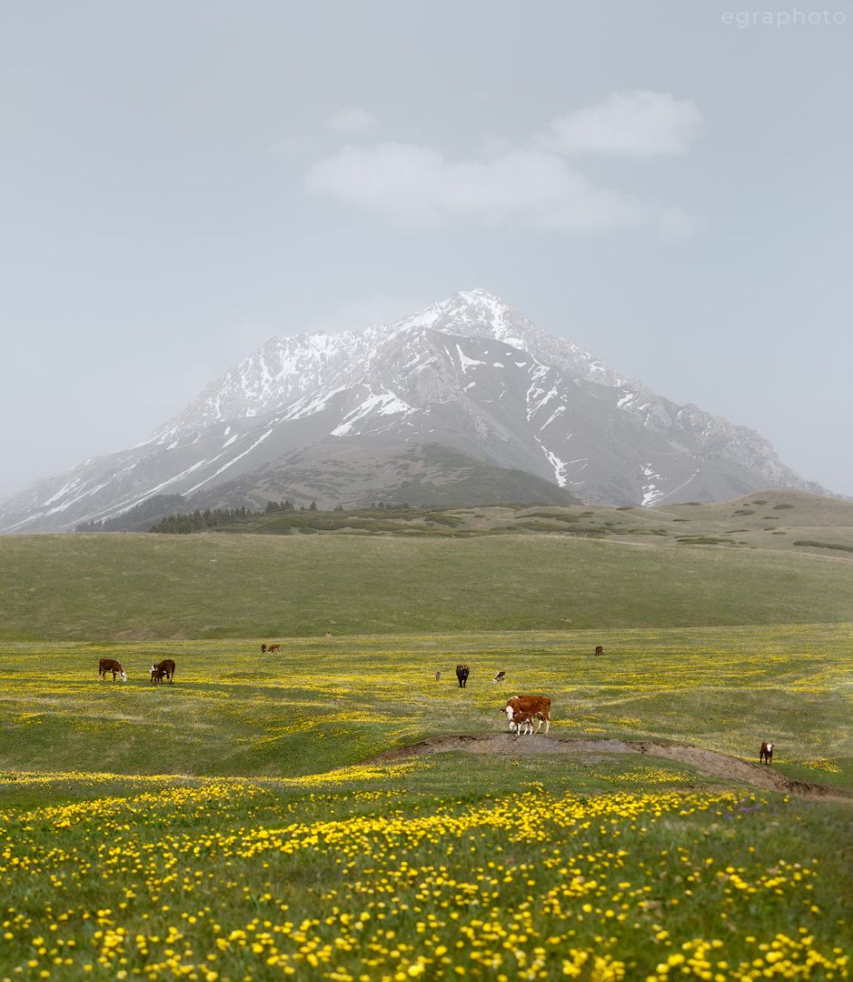 Кыргызстан с АТ Баши