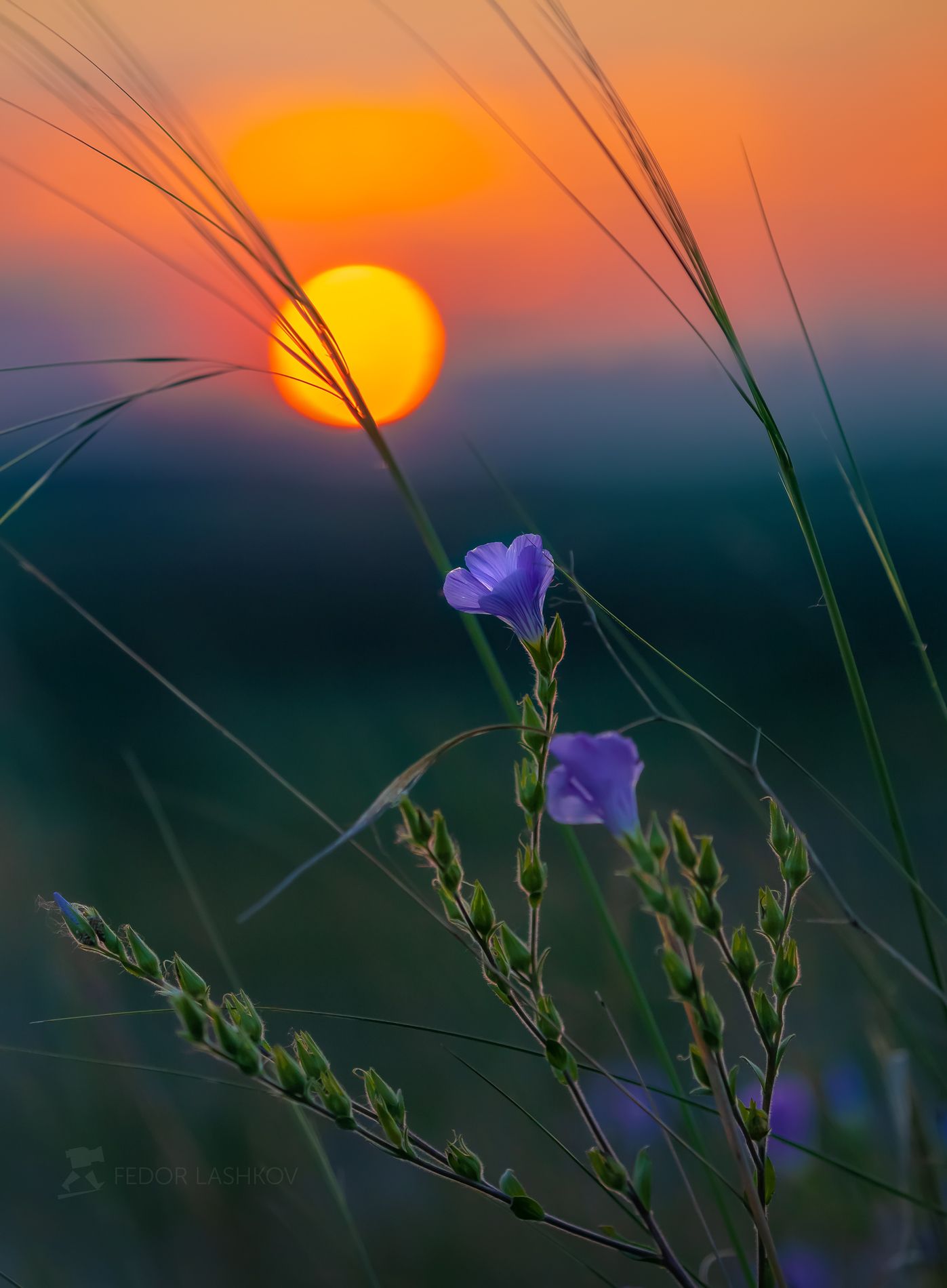 Город Старый Оскол на закате. Photographer Lashkov Fedor