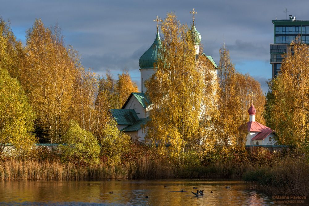 Пулковский парк туалет