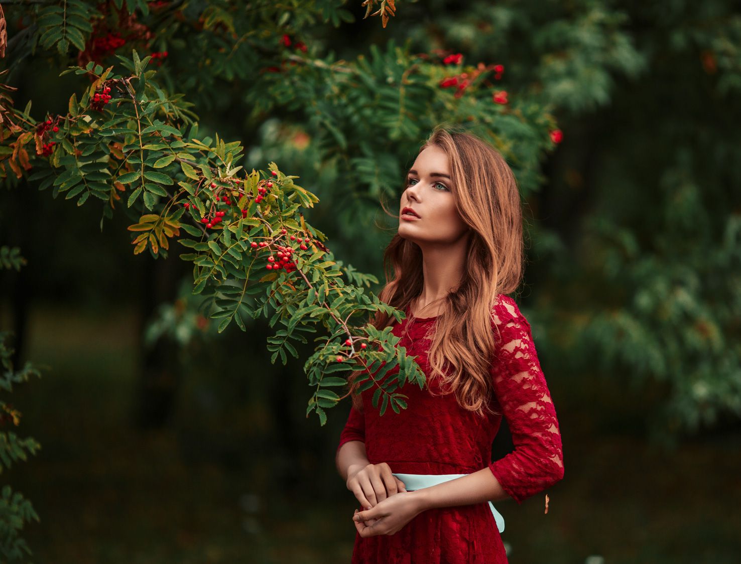 Рябиновая симфония. Фотограф Бутвиловский Дмитрий