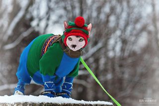 Суровый русский абориген...))