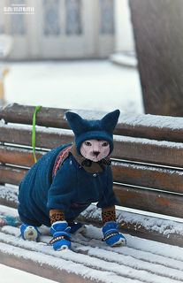 Ну, и снегу намело...