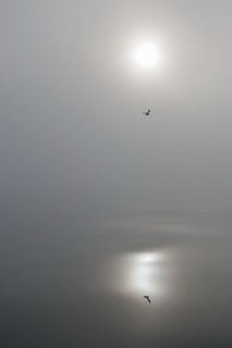 Озеро Байкал, осенние туманы - видимость порядка 100 метров. 14 часов лежали в дрейфе (сломался двигатель), рядом ходили катера, но не мы их, не они нас не видели, только слышали