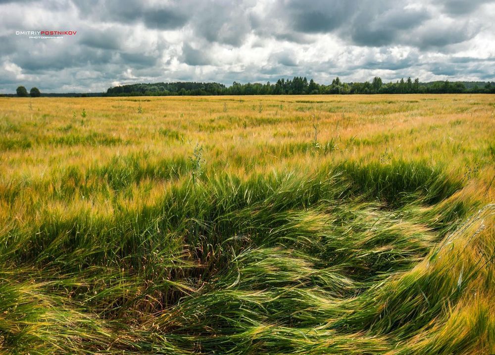 По дороге с облаками среди полей Подмосковья.