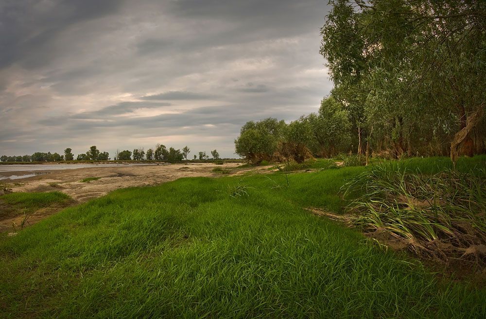 Десна. Такой вижу её я.