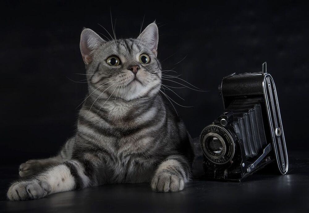 Маркиз - Фотограф