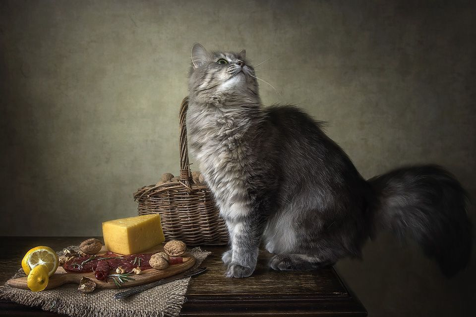 Незваная гостья