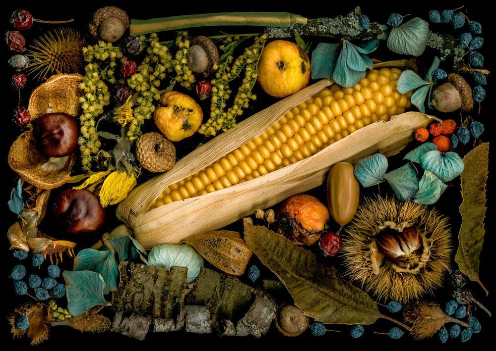 Arrangements of natural materials scanned.