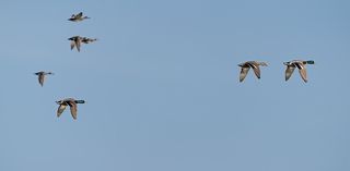 Должны успеть!