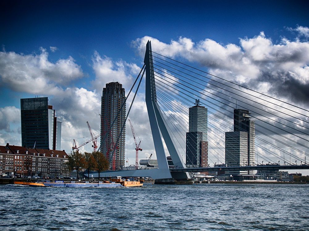 Rotterdam