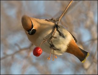 Раз,два,три...четыре