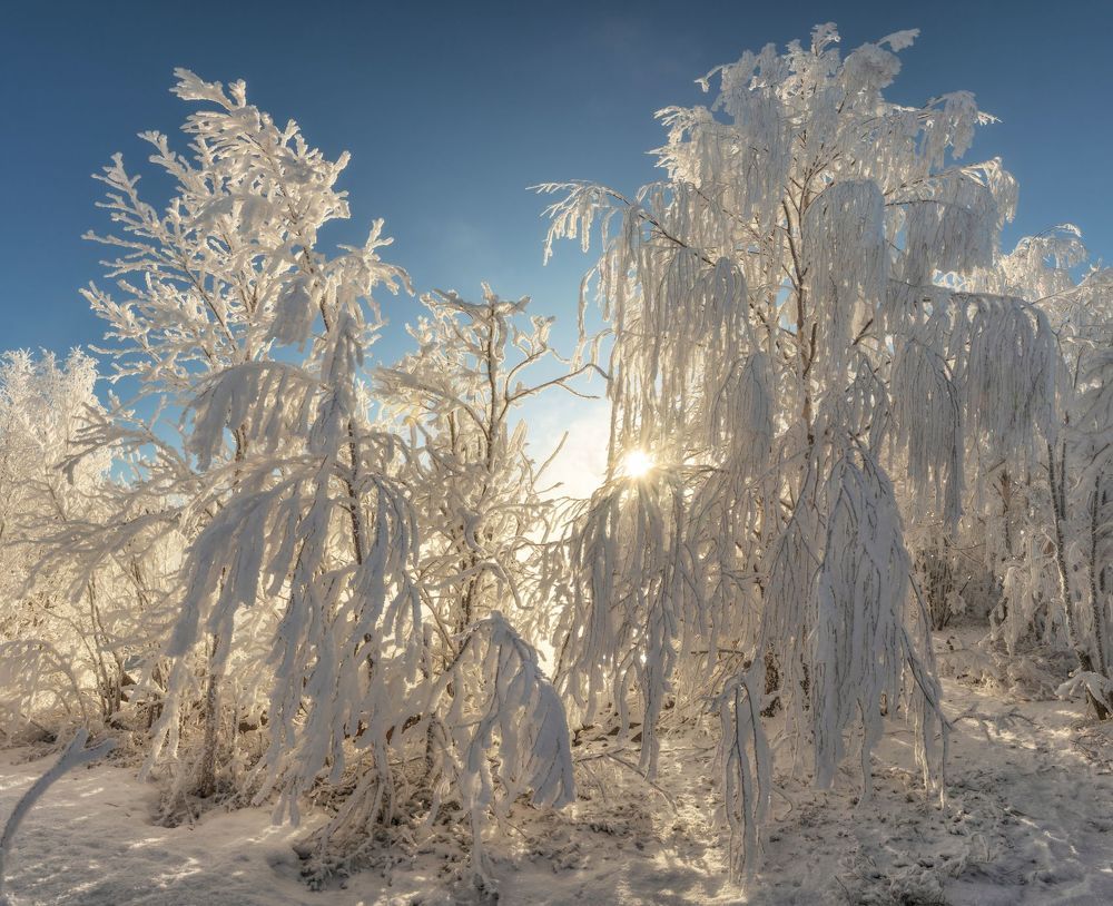 Кольский полуостров.