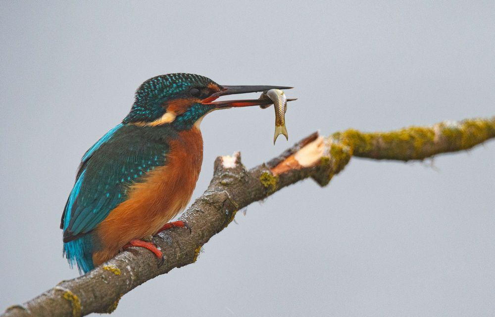 На рыбалке
