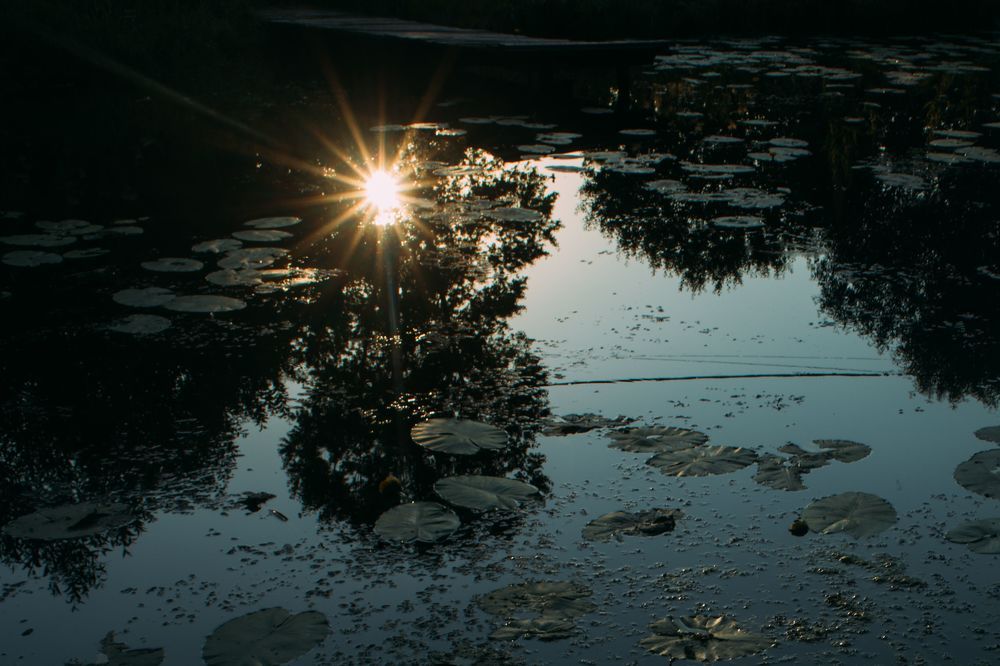 july 2021/ Bolshoe Pokrovskoe