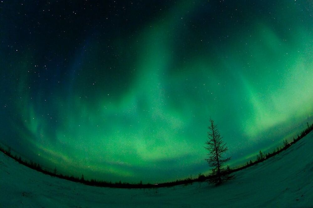 Aurora Borealis