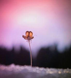 ...главный герой....=)