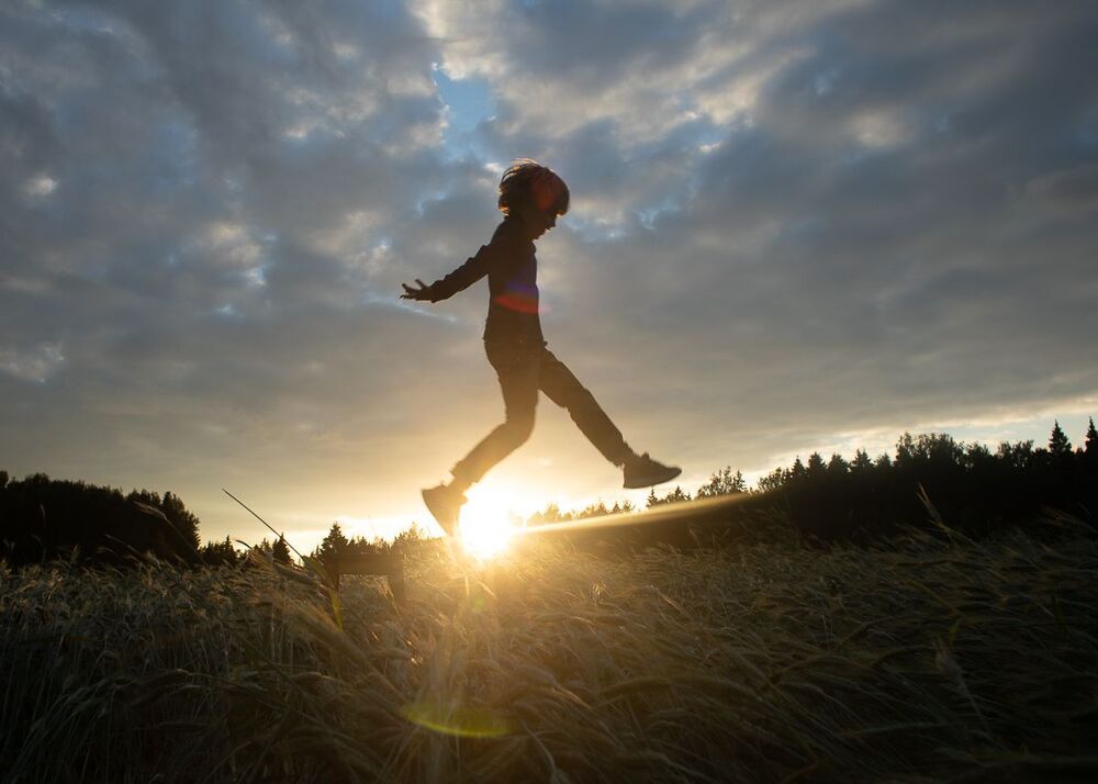 Photo 2007355