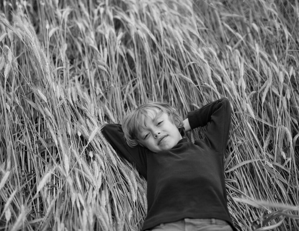 Photo 2007359