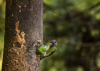 Тааак, осторожно ....