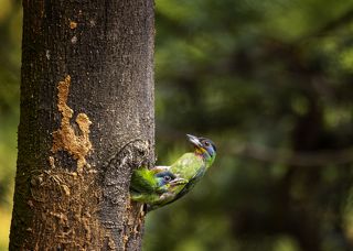 Правда вкусно?