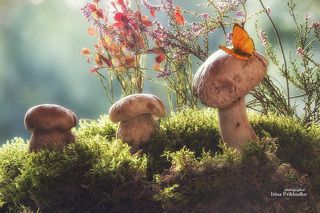 - Смотри, какая стройняшка! Пора на диету садиться!