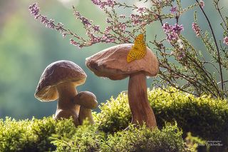 - Пойдем,сынок! Нам с этой тетей не по пути, она такая франтиха!