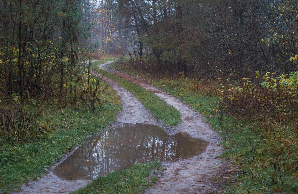 ноябрьская прогулка...