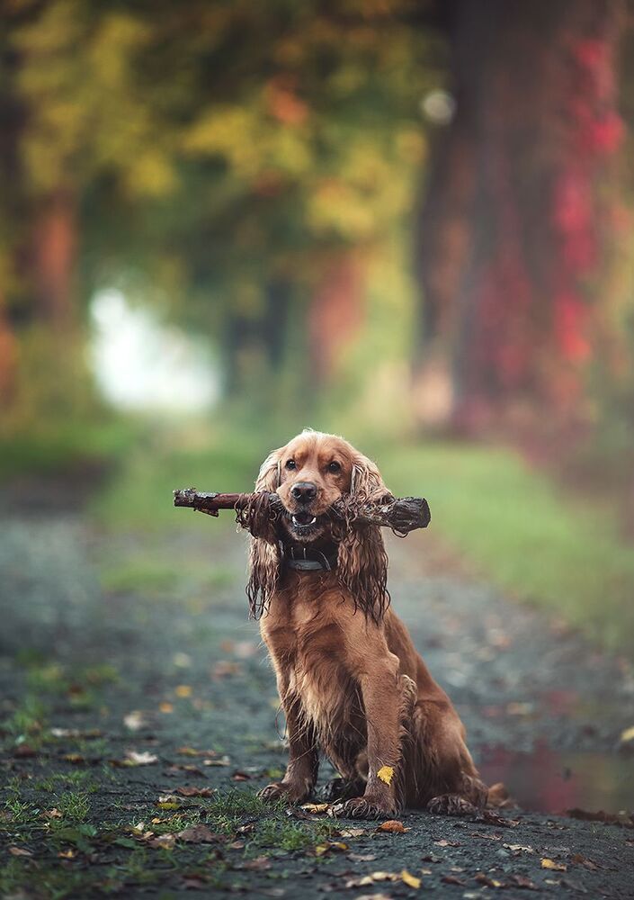 Autumn