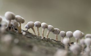 Обсуждение