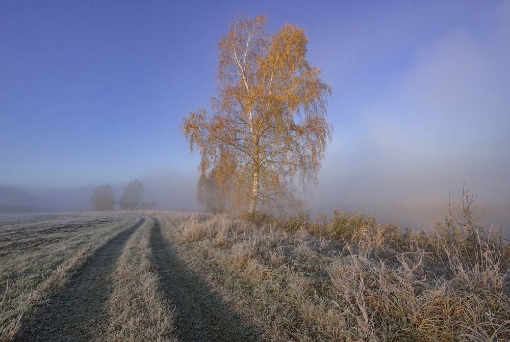 Серебряная осень