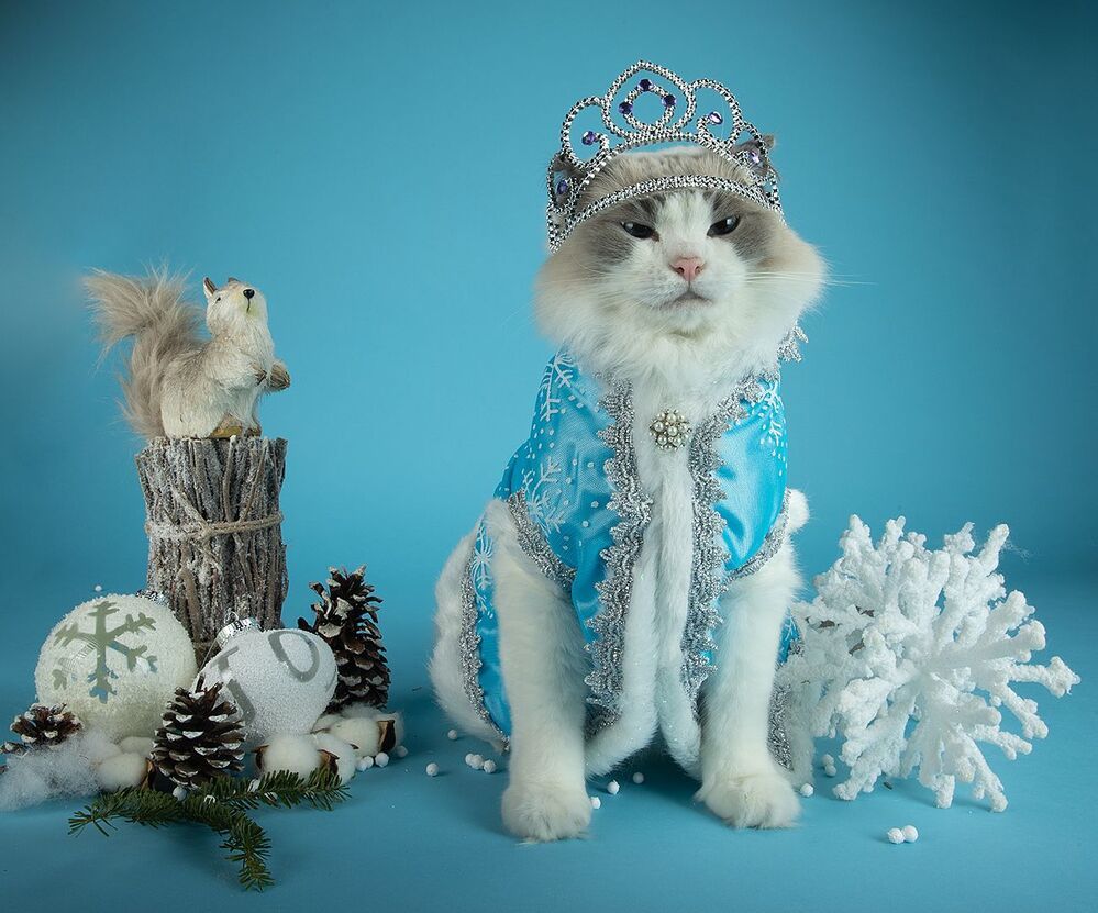 Матильда. Снегурочку - вызывали? Happy New Year!