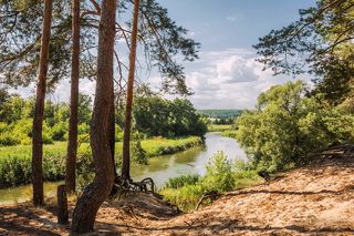 Чистый воздух, овеянный запахом сонового леса.  Sony DSC-RX100