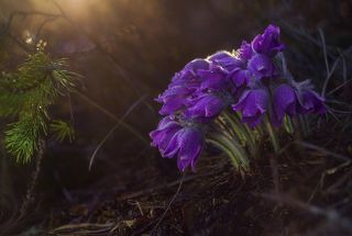 снято гелиосом 77м-4