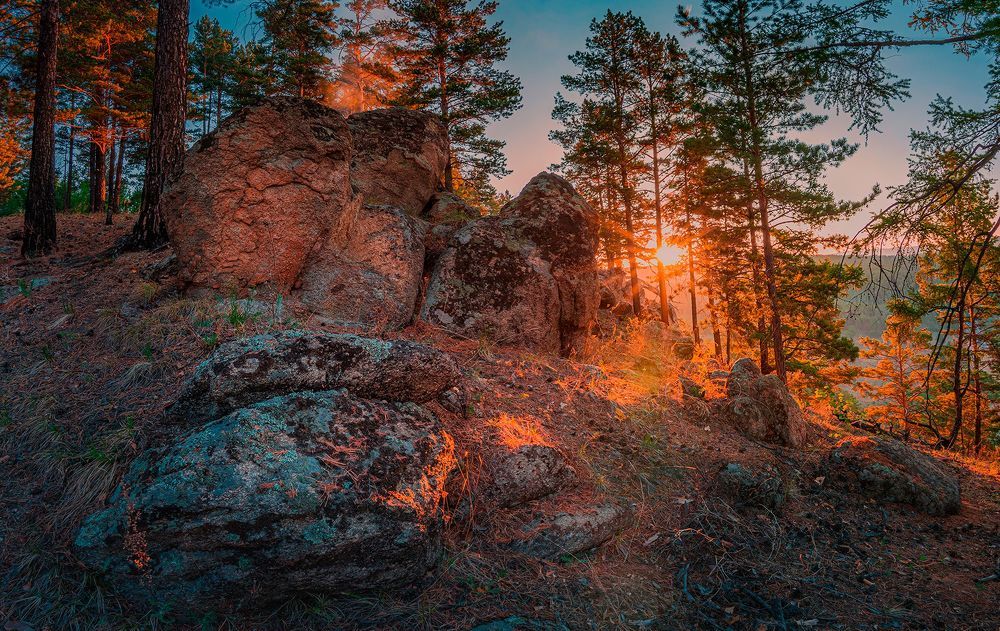 Дмитрий Портных 2022