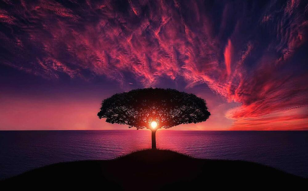 Landscapes