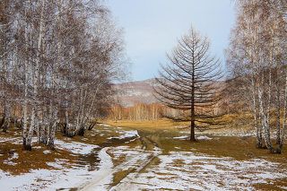 Зима начало