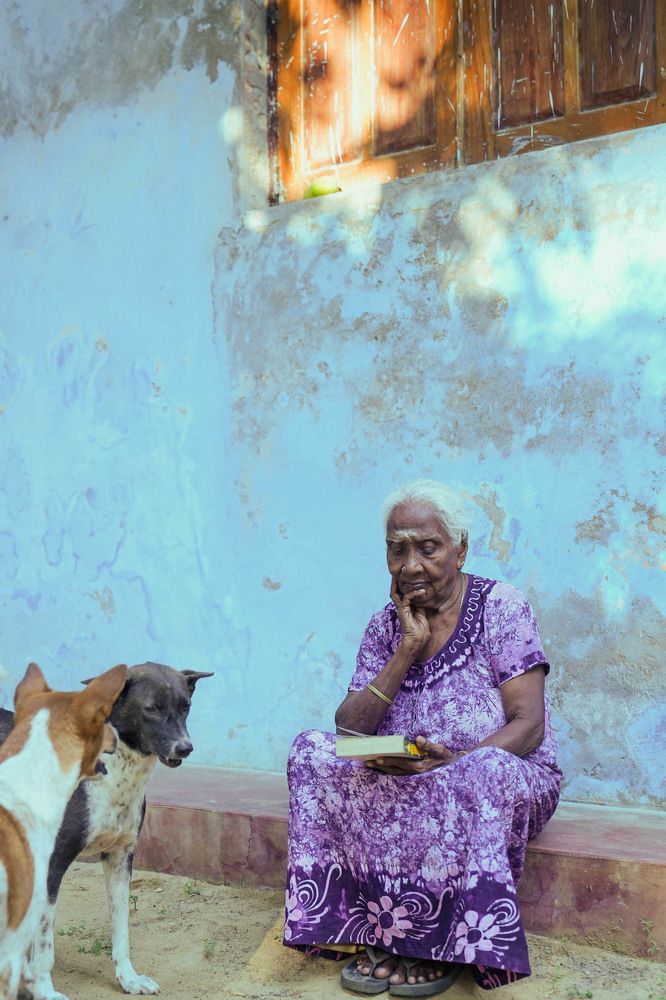 A day in a life of a pure soul
