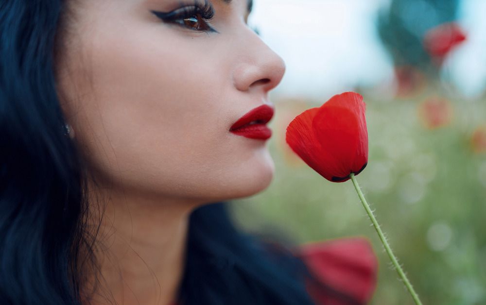 he Red Dress Chronicles: Fields of Desire.