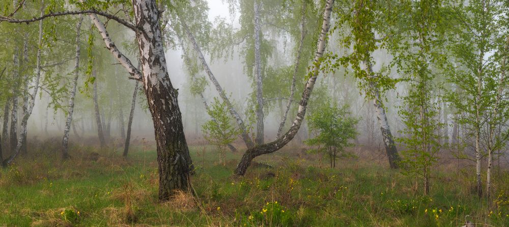  Танец весны