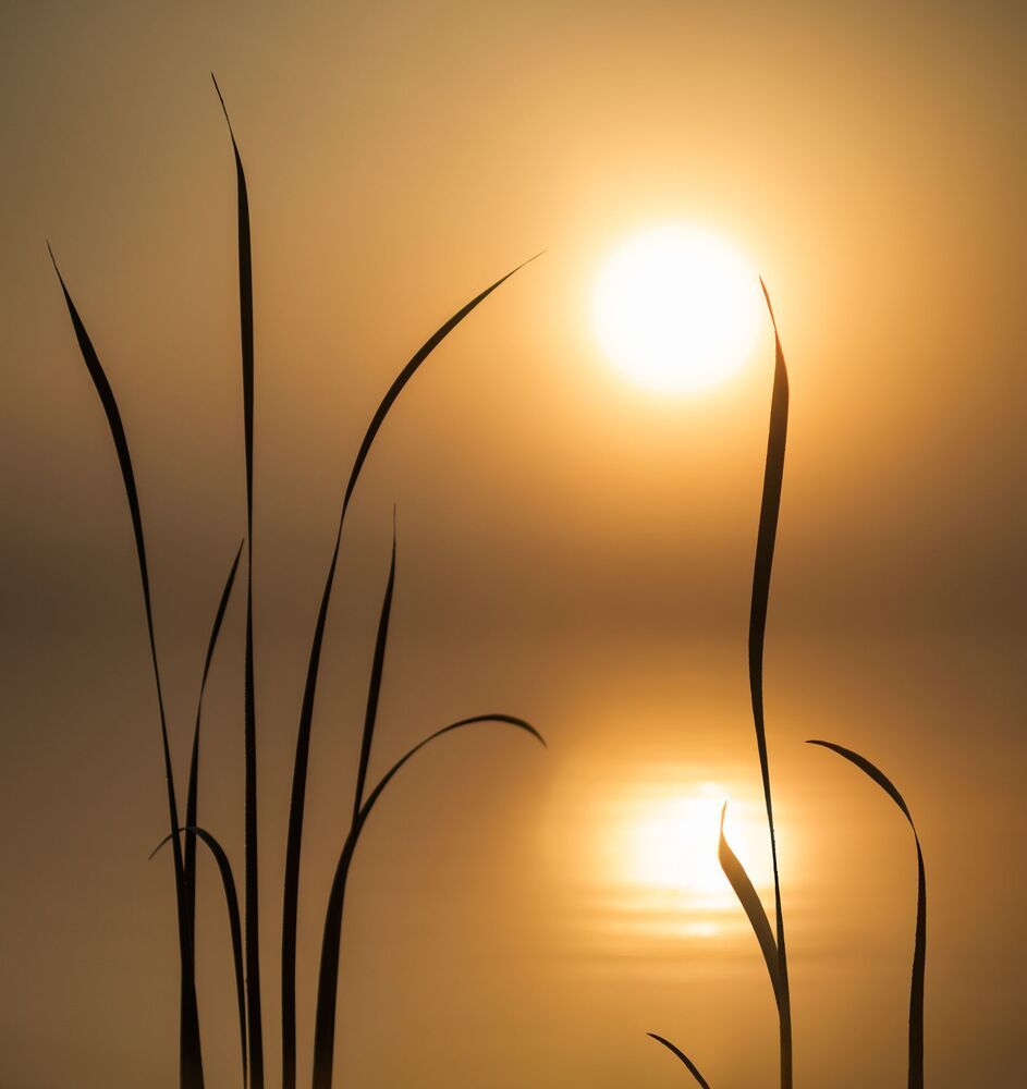 Photo 2425658