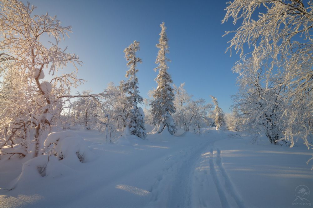 Кольский