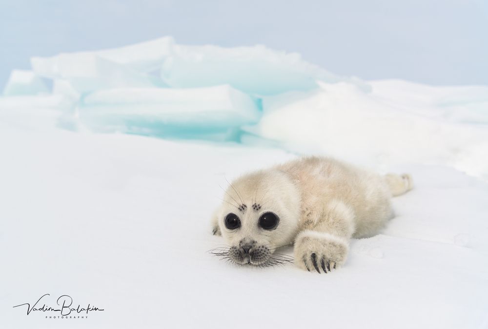 Байкал
