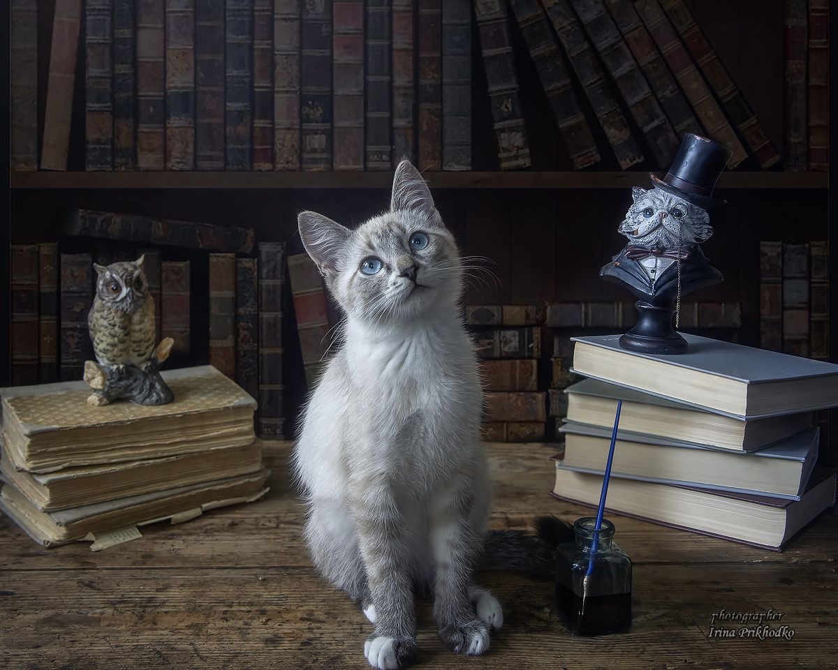 - Вот вырасту большой и важный, мне тоже бюст сделают, как дедушке!