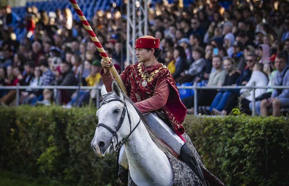 VIII Международный турнир Святого Георгия, Часть 1 - Рыцарский турнир