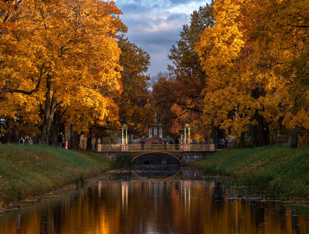 Осень в Пушкине