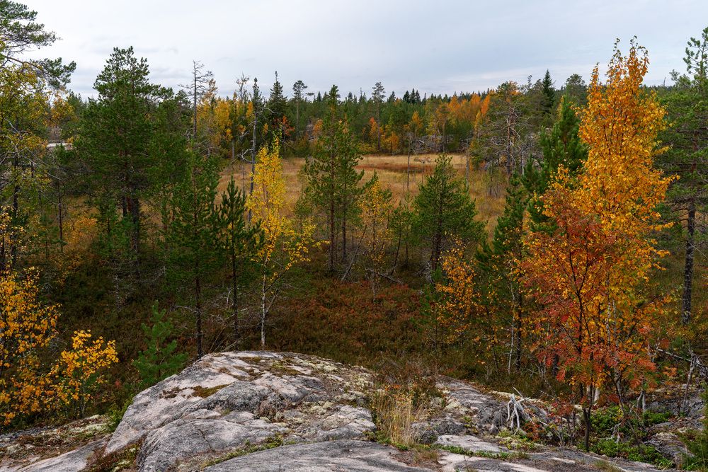 Карелия, остров Хонкасало