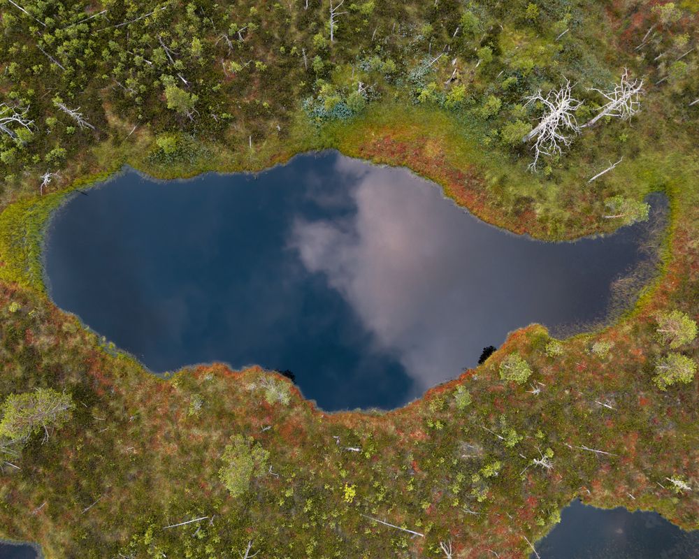 Болота. Озерца. Островки.