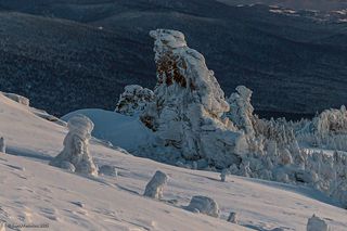 02 Если повезёт, то вечерами можно увидеть их во всей красе в лучах закатного солнца. В этот вечер солнце спряталось за полосу облачности