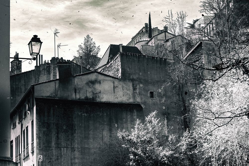 Stary Lyon!